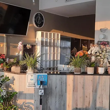 酒店 特洛特酒店